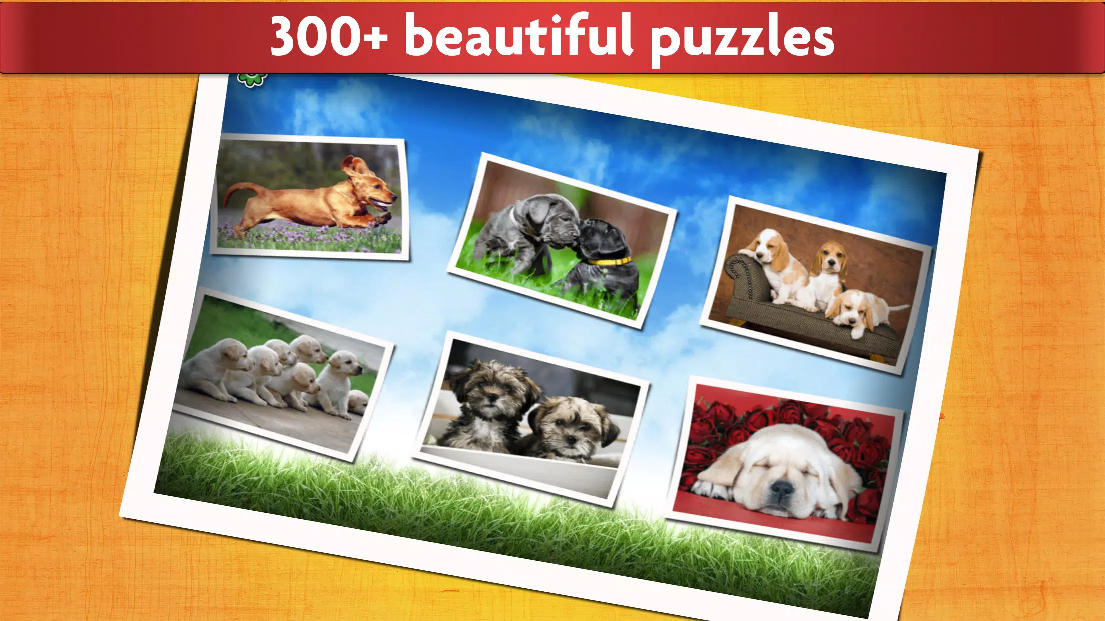 Puzzle Games Dogs Jigsaw Screenshot 1