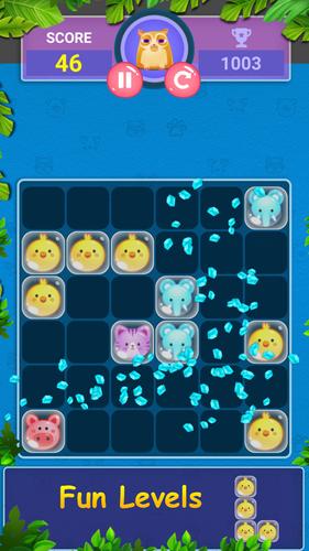 Block Game Puzzle of Pet World应用截图第1张