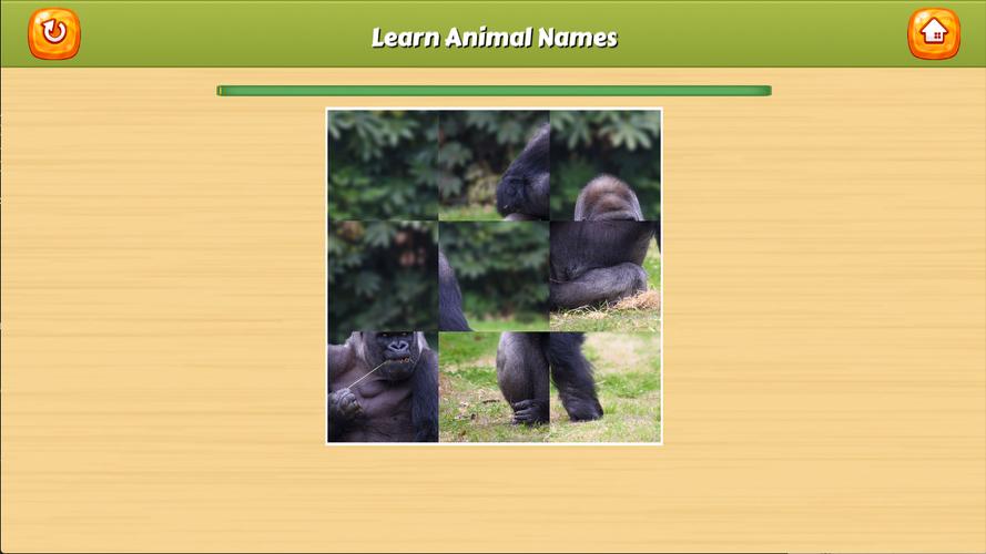 Learn Animal Names应用截图第3张