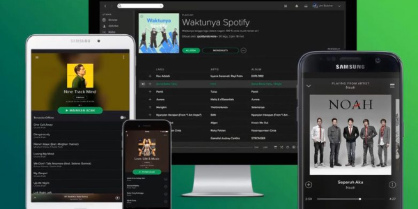 Spotify Vanced Zrzut ekranu 2