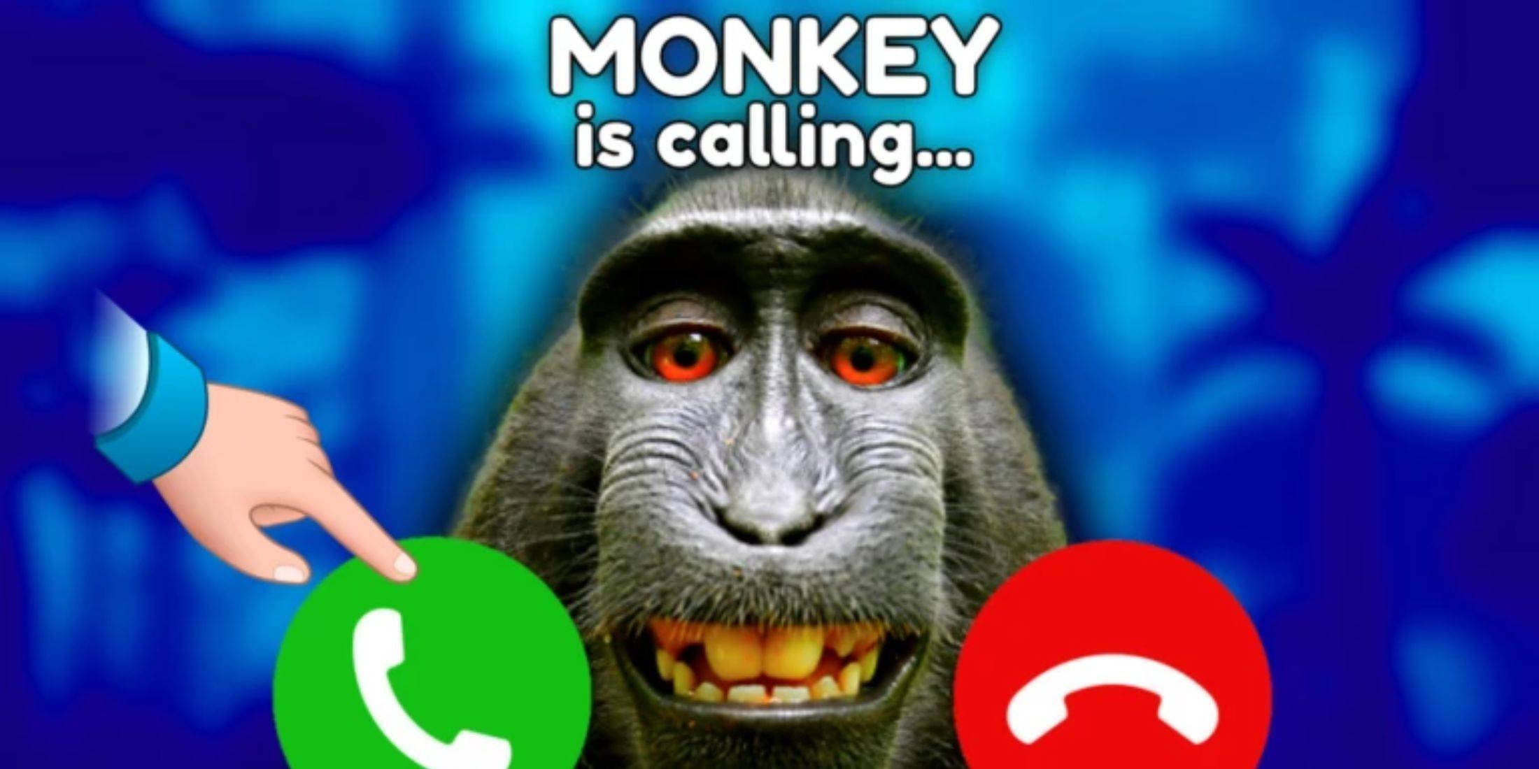 Monkey Tycoon Codes Image