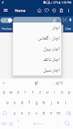 English Urdu Dictionary Captura de tela 3