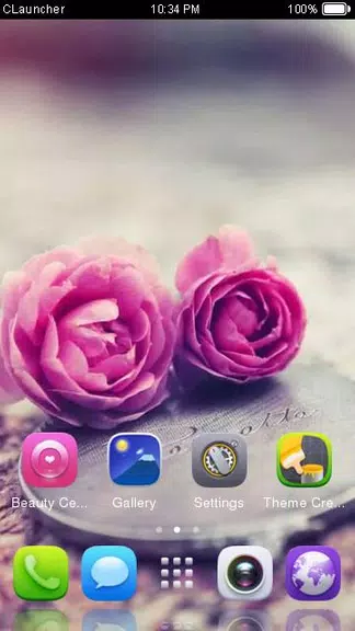 Pink Roses Theme C Launcher Capture d'écran 2