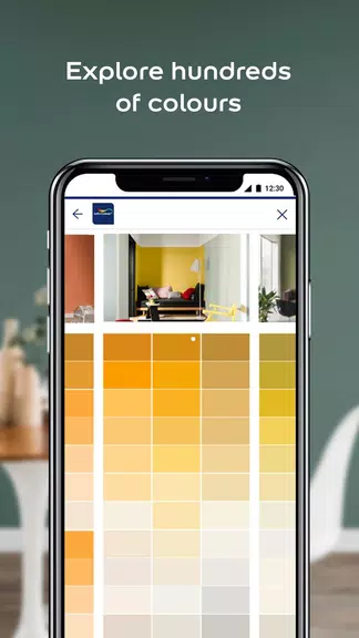 Dulux Visualizer PK स्क्रीनशॉट 1