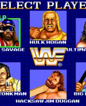 WWF Superstars of Wrestling Cl 스크린샷 2