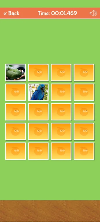 Birds Memory Match Game应用截图第2张