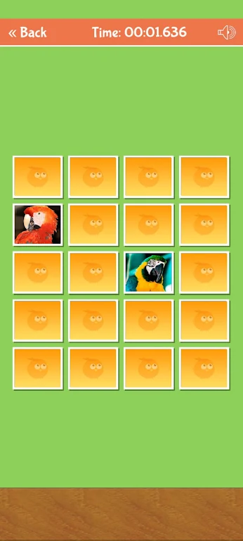 Birds Memory Match Game应用截图第3张