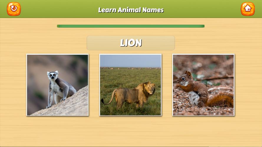 Learn Animal Names应用截图第2张