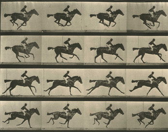 Run Muybridge, run! स्क्रीनशॉट 0