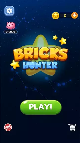 Bricks Hunter : Cube Puzzle 스크린샷 0