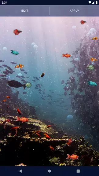 Ocean Fish Live Wallpaper 4K Ảnh chụp màn hình 3