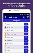 Speak Punjabi : Learn Punjabi應用截圖第0張
