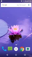 Zen Live Wallpaper Capture d'écran 2