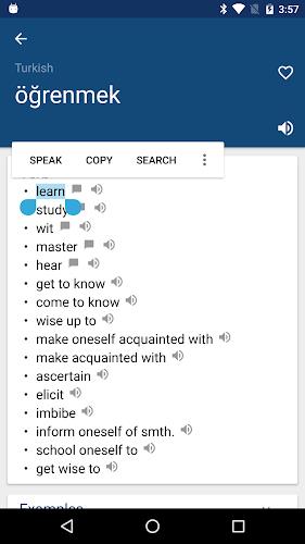 Schermata Turkish English Dictionary İng 0