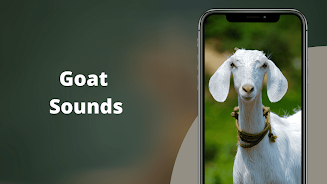 Goat Sounds Ekran Görüntüsü 0