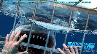 Swim Sharks Cage VR Simulator Captura de pantalla 1