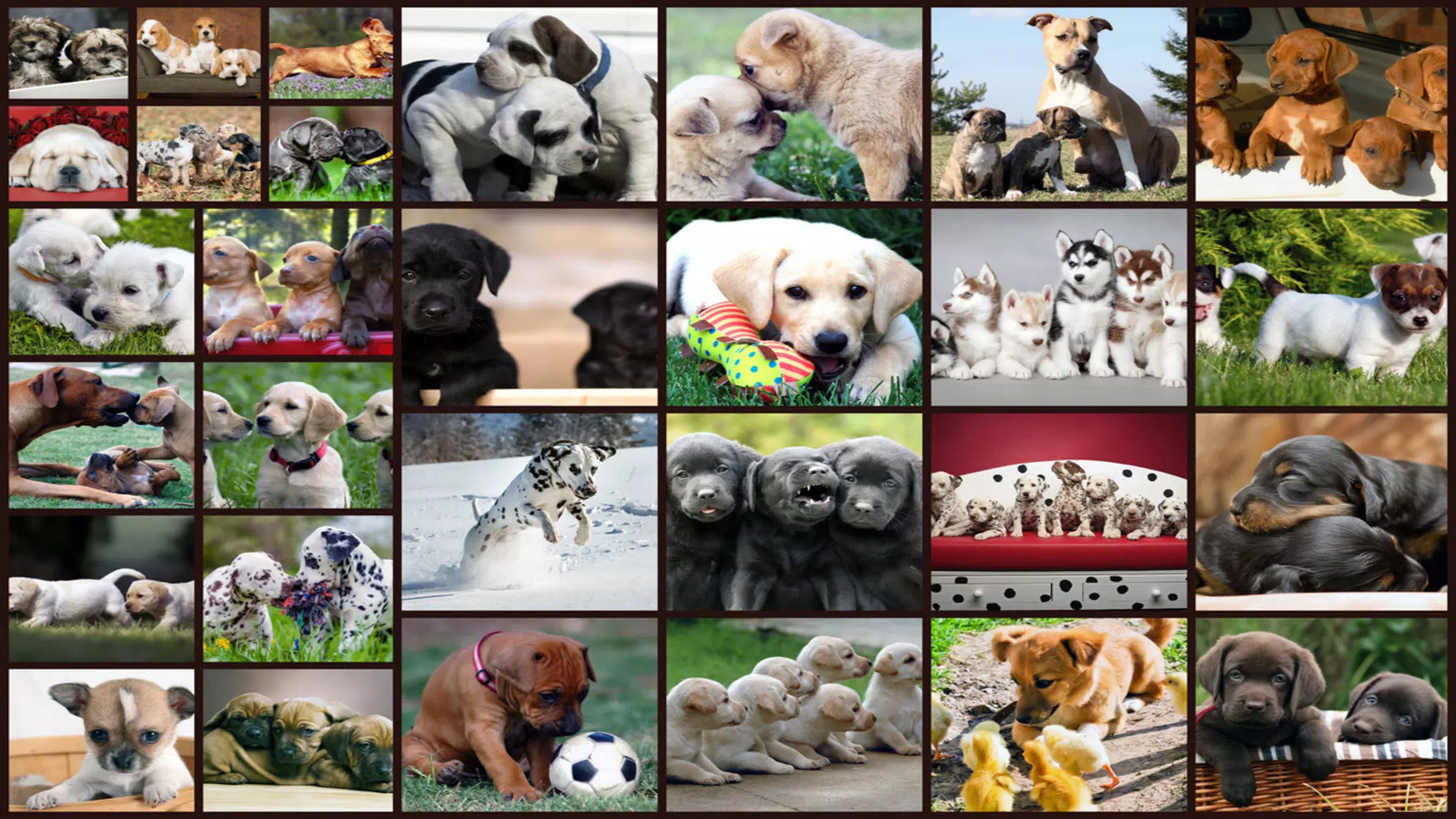 Puzzle Games Dogs Jigsaw Screenshot 0