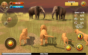 Wild Lion Simulator 3D