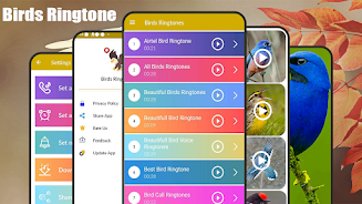 Birds Sounds & Birds Ringtones Screenshot 1