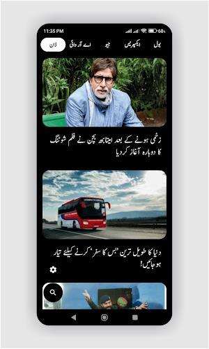 Urdu Khbrain, News اردو خبریں ภาพหน้าจอ 3