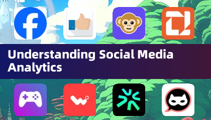 Understanding Social Media Analytics