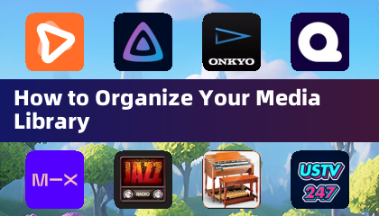 How to Organize Your Media Library